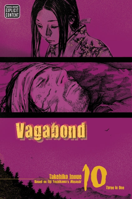 Vagabond (VIZBIG Edition) 10