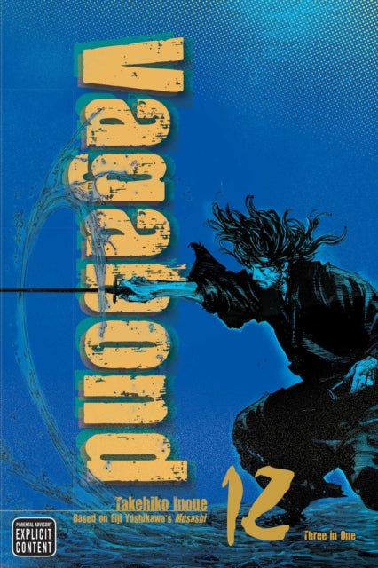 Vagabond (VIZBIG Edition) 12