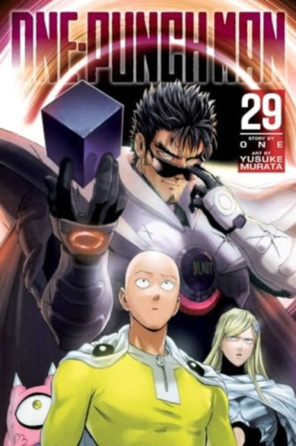 One-Punch Man 29