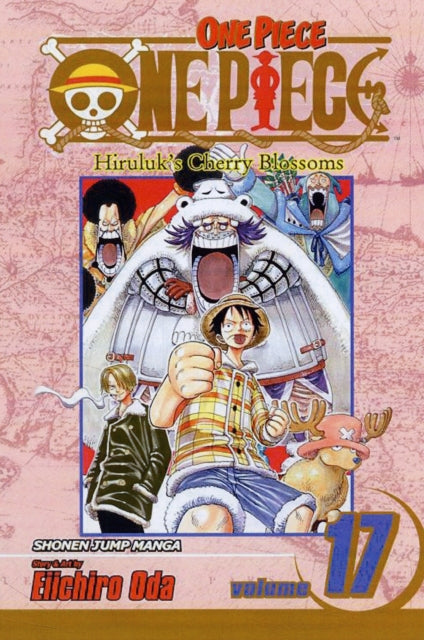 One Piece 17