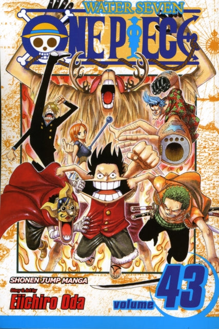 One Piece 43