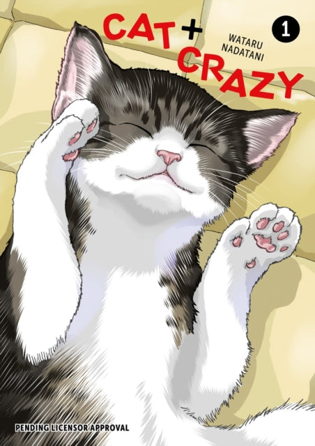Cat + Crazy 01