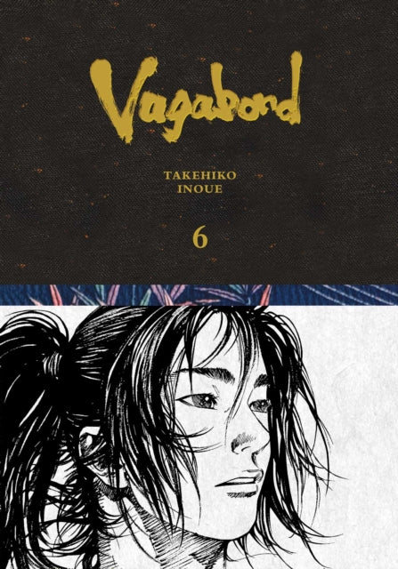 Vagabond Definitive Edition 06