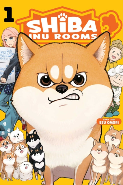 Shiba Inu Rooms 01