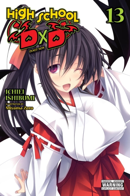High School DxD 13 (Light Novel)