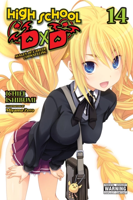 High School DxD 14 (Light Novel)